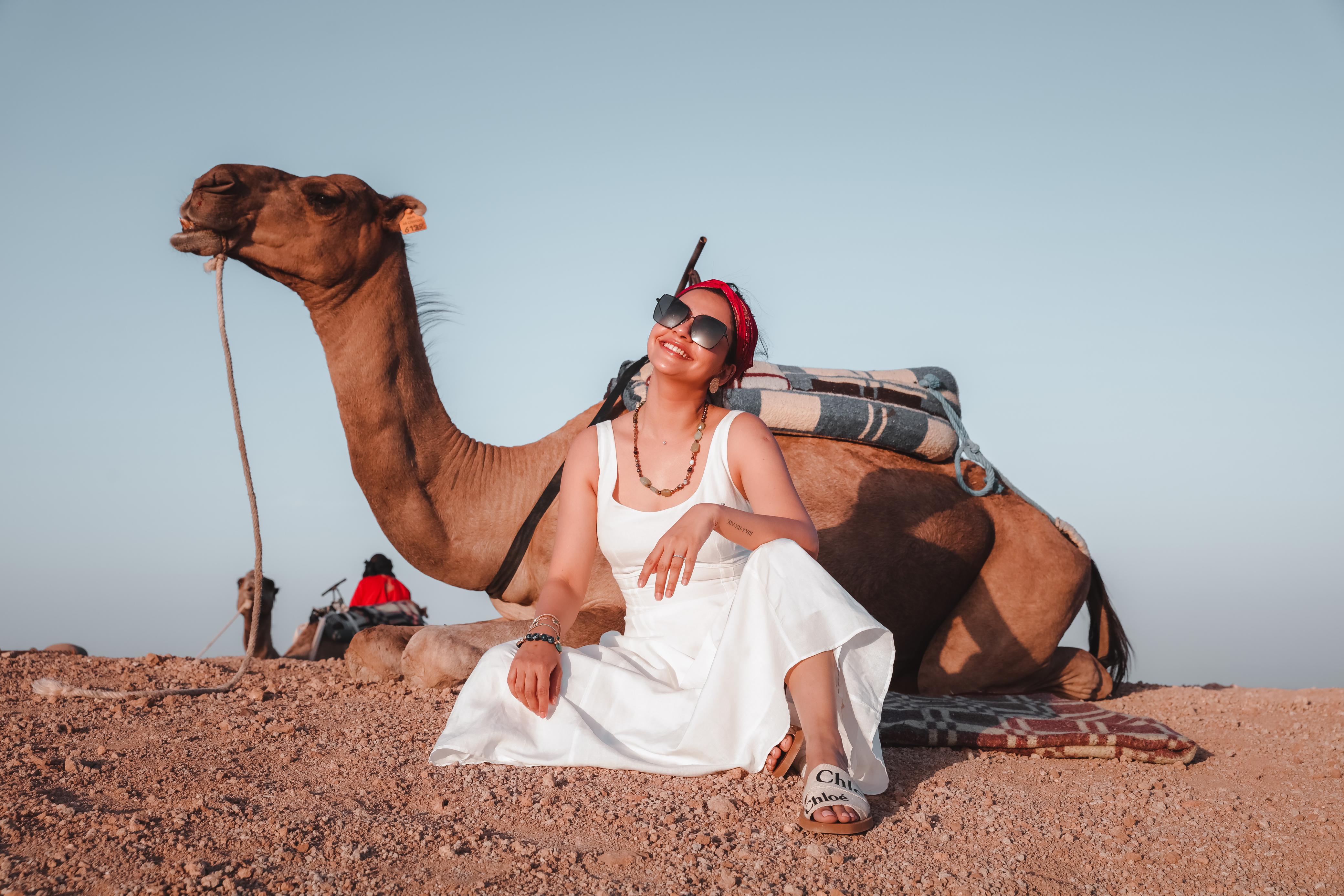 WhatsApp Image 2025-03-21 à 22.41.24_b49b454d.jpg